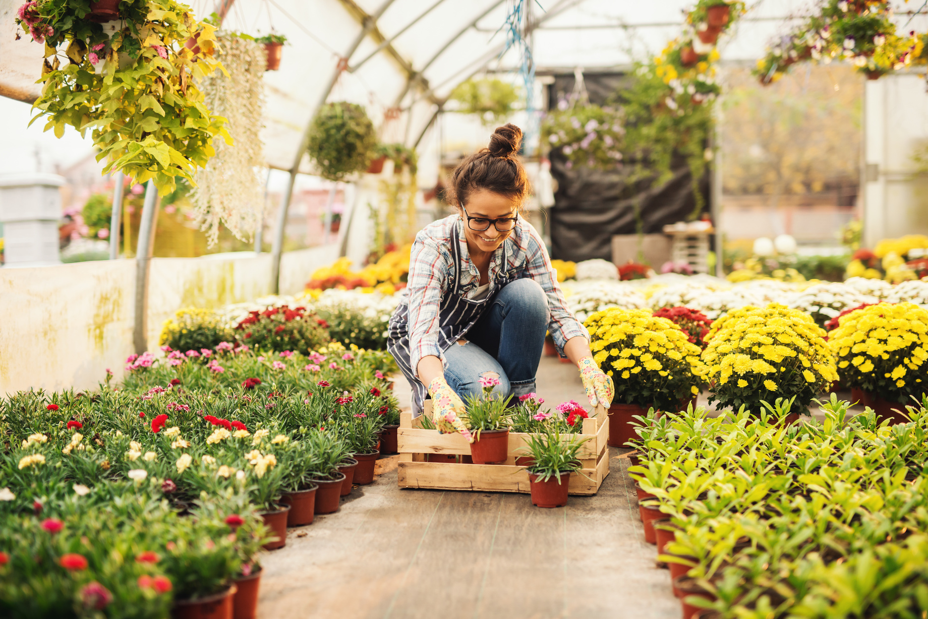 The use of cold rooms in nursery warehouses